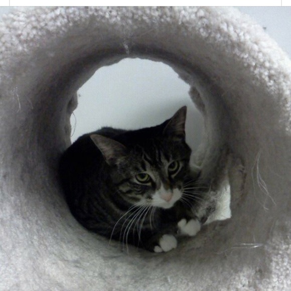 Meet your Posher, Mary - Picture 1 of 1